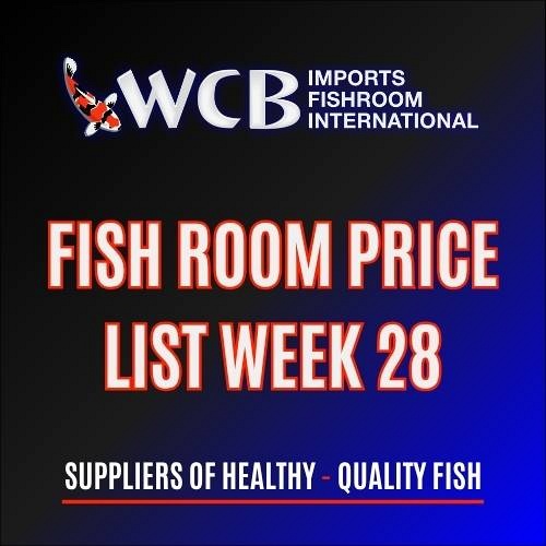 Price List Week 28